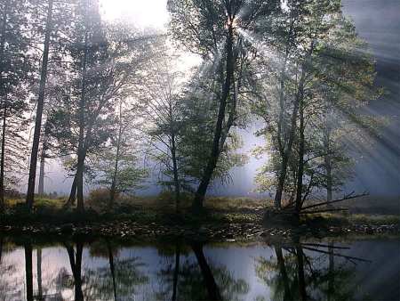 image0066667.jpg