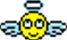 image0077778.gif